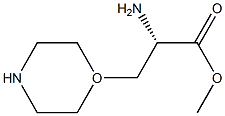 3-(1-Morpholinyl)-L-alanine Methyl ester