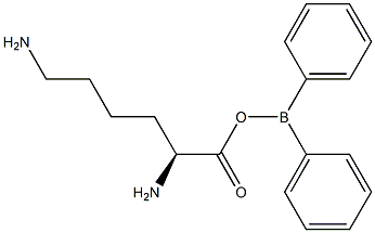 L-Lysyl diphenylborinate, 95% Structural
