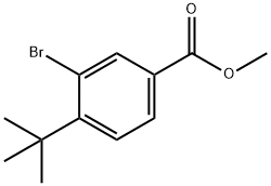 methyl 3-bromo-4-tert-butylbenzoate