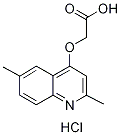 (2,6-DIMETHYL-QUINOLIN-4-YLOXY)-ACETIC ACIDHYDROCHLORIDE