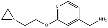 [2-(2-aziridin-1-ylethoxy)pyridin-4-yl]methylamine