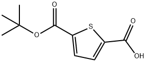 Thiophene-2,5-dicarboxylic acidmono tert-butylester