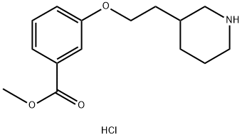Methyl 3-[2-(3-piperidinyl)ethoxy]benzoatehydrochloride Structural
