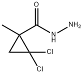 2,2-DICHLORO-1-METHYLCYCLOPROPANECARBOHYDRAZIDE