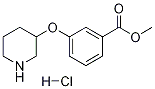 Methyl 3-(3-piperidinyloxy)benzoate hydrochloride Structural