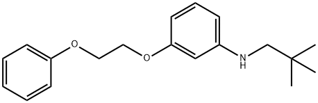 N-Neopentyl-3-(2-phenoxyethoxy)aniline Structural