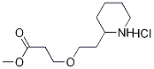 Methyl 3-[2-(2-piperidinyl)ethoxy]propanoatehydrochloride Structural