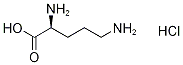 L-Ornithine-13C5,15N2 Hydrochloride Structural