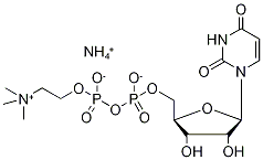 Uridine Diphosphate Choline Ammonium Salt