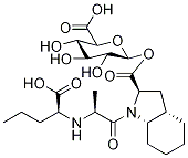 Perindoprilat Acyl--D-glucuronide Structural
