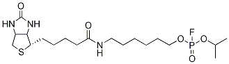FP-Biotin-d7 Structural