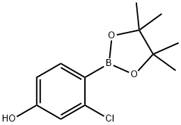 3-Chloro-4-(4,4,5,5-tetraMethyl-1,3,2-dioxaborolan-2-yl)phenol