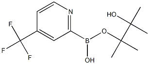 4-(TRIFLUOROMETHYL)PYRIDINE-2-BORONIC ACID PINACOL ESTER