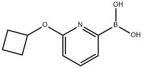 6-(CYCLOBUTOXY)PYRIDINE-2-BORONIC ACID