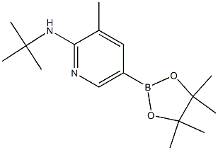N-(tert-butyl)-3-Methyl-5-(4,4,5,5-tetraMethyl-1,3,2-dioxaborolan-2-yl)pyridin-2-aMine Structural