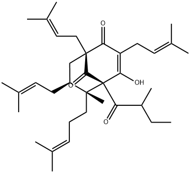 ADHYPERFORIN Structural