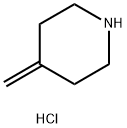 4-Methylenepiperidine HCl Structural Picture