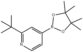 2-tert-butyl-4-(4,4,5,5-tetraMethyl-1,3,2-dioxaborolan-2-yl)pyridine Structural Picture