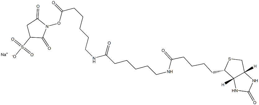 SULFO-NHS-LC-LC-BIOTIN Structural