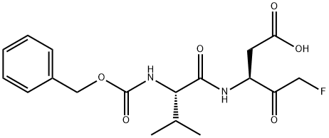 EP-1013 Structural