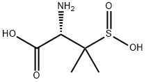 SulbactaM M-1 Structural