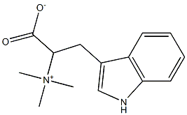 lenticin Structural