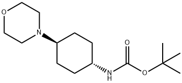 tert-butyl ((1r,4r)-4-Morpholinocyclohexyl)carbaMate Structural