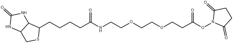 9-biotinlaMino-4,7-dioxanonanoic acid N-hydroxysucciniMidyl ester Structural