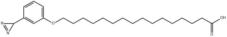 omega-(3-diazirinophenoxy)hexadecanoic acid Structural
