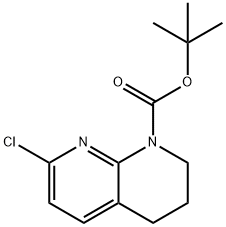 tert-butyl 7-chloro-3,4-dihydro-1,8-naphthyridine-1(2H)-carboxylate