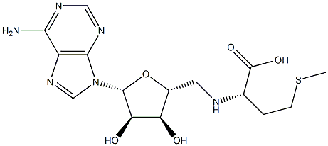 (R, S)-Adenosyl-L-Methionine