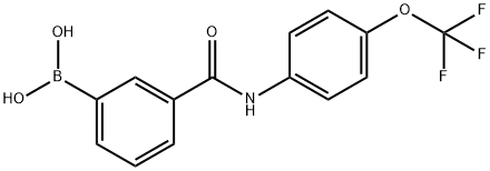 (3-((4-(trifluoroMethoxy)phenyl)carbaMoyl)phenyl)boronic acid