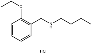 butyl[(2-ethoxyphenyl)methyl]amine hydrochloride Structural