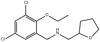 N-[(3,5-dichloro-2-ethoxyphenyl)methyl]-1-(oxolan-2-yl)methanamine Structural