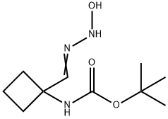 [1-(N-Hydroxycarbamimidoyl)-cyclobutyl]-carbamic acid tert-butyl ester