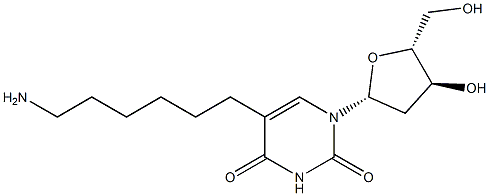 Uridine, 5-(6-aminohexyl)-2'-deoxy- Structural