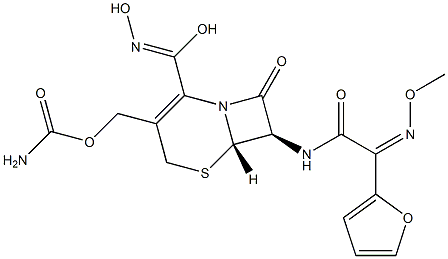 Ceftizoxime