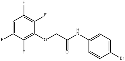 N-(4-bromophenyl)-2-(2,3,5,6-tetrafluorophenoxy)acetamide Structural