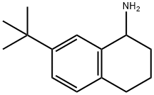 7-TERT-BUTYL-1,2,3,4-TETRAHYDRONAPHTHALEN-1-AMINE