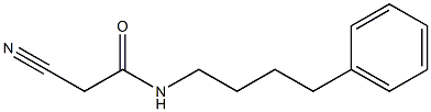 Acetamide, 2-cyano-N-(4-phenylbutyl)- Structural