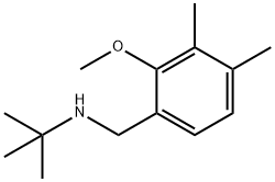 tert-Butyl-(2-methoxy-3,4-dimethyl-benzyl)-amine Structural