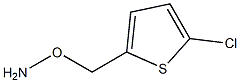 Hydroxylamine, O-[(5-chloro-2-thienyl)methyl]- Structural