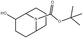 Tert-Butyl 2-Hydroxy-9-Azabicyclo[3.3.1]Nonane-9-Carboxylate Structural