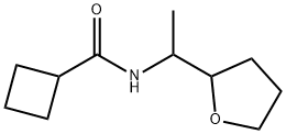 N-[1-(tetrahydrofuran-2-yl)ethyl]cyclobutanecarboxamide Structural