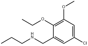 N-(5-chloro-2-ethoxy-3-methoxybenzyl)-N-propylamine Structural
