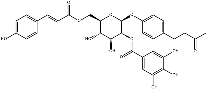 4-(3-oxobutyl)phenyl 6-O-[(2E)-3-(4-hydroxyphenyl)prop-2-enoyl]-2-O-(3,4,5-trihydroxybenzoyl)-b-D-glucopyranoside Structural