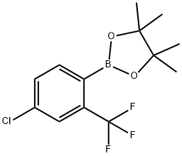 2-[4-chloro-2-(trifluoromethyl)phenyl]-4,4,5,5-tetramethyl-1,3,2-dioxaborolane