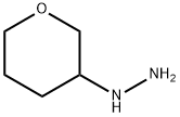 1-(tetrahydro-2H-pyran-3-yl)hydrazine Structural