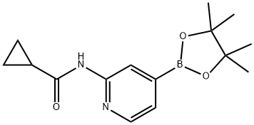 Cyclopropanecarboxylic acid [4-(4,4,5,5-tetramethyl-[1,3,2]dioxaborolan-2-yl)-pyridin-2-yl]-amide