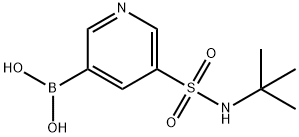 B-[5-[[(1,1-dimethylethyl)amino]sulfonyl]-3-pyridinyl]Boronic acid Structural